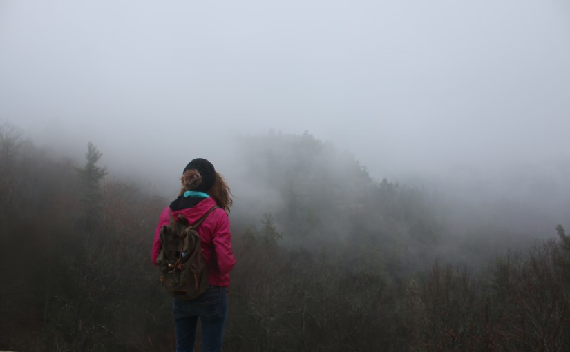 Foggy Red River&nbsp;Gorge