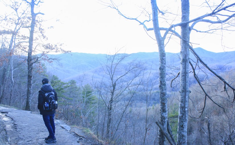 Between the Pines: Part&nbsp;One